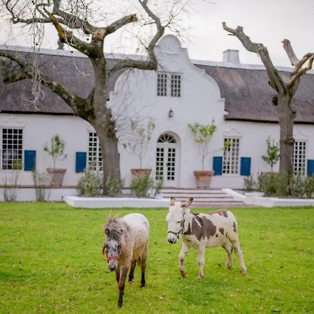 San Gabriel Homestead ซัมเมอร์เซ็ต เวสต์ ภายนอก รูปภาพ