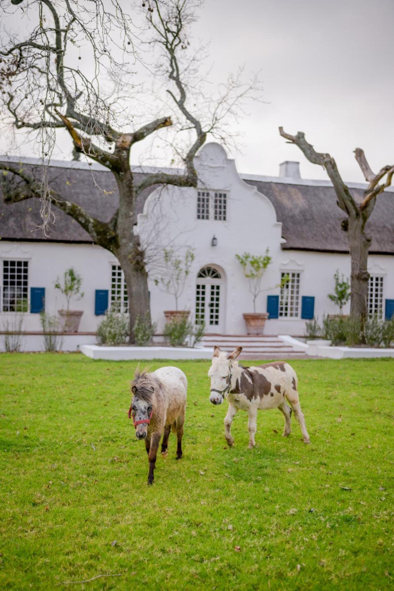San Gabriel Homestead ซัมเมอร์เซ็ต เวสต์ ภายนอก รูปภาพ