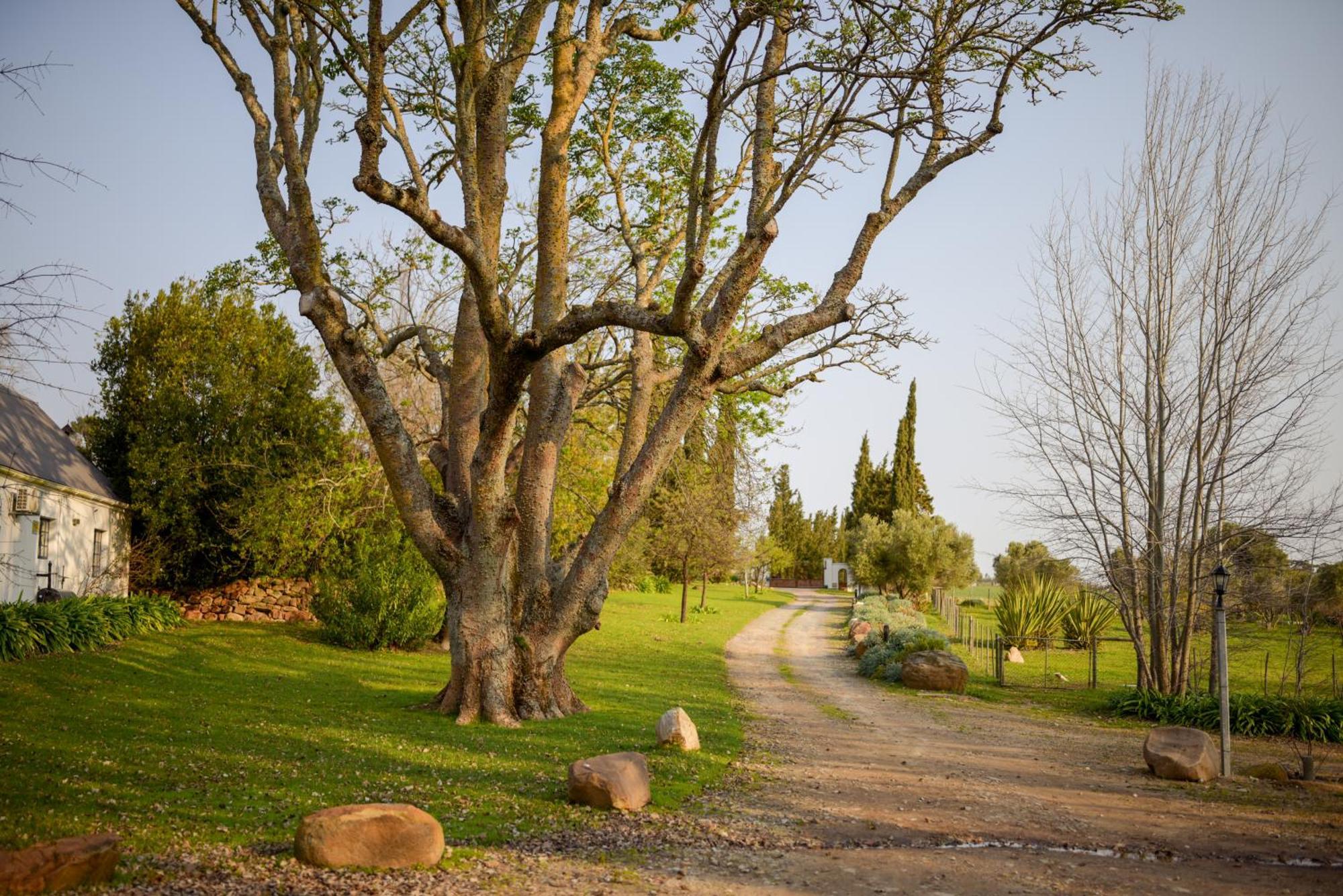 San Gabriel Homestead ซัมเมอร์เซ็ต เวสต์ ภายนอก รูปภาพ
